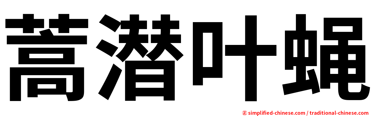 蒿潜叶蝇