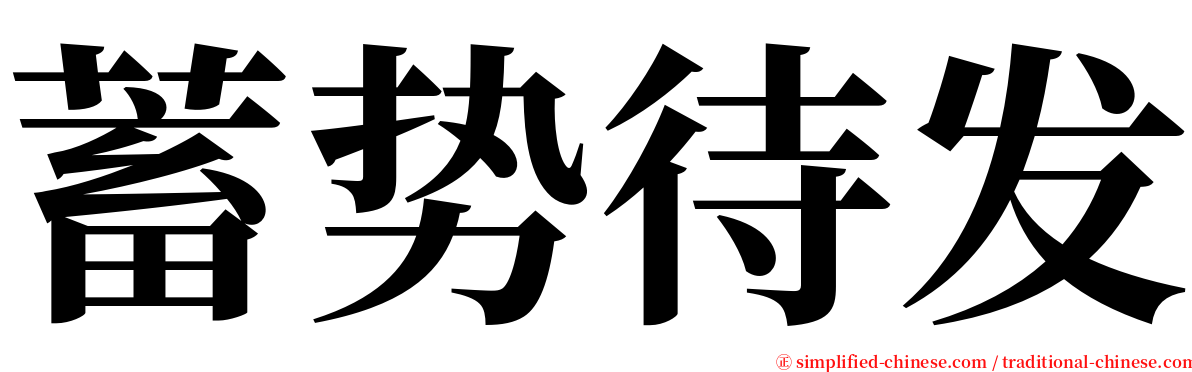 蓄势待发 serif font