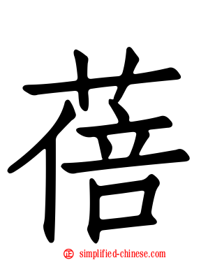 蓓