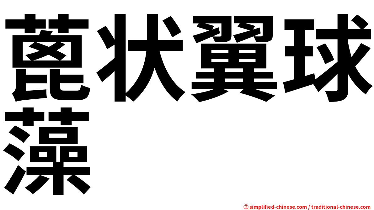 蓖状翼球藻