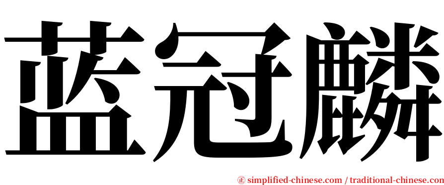 蓝冠麟 serif font