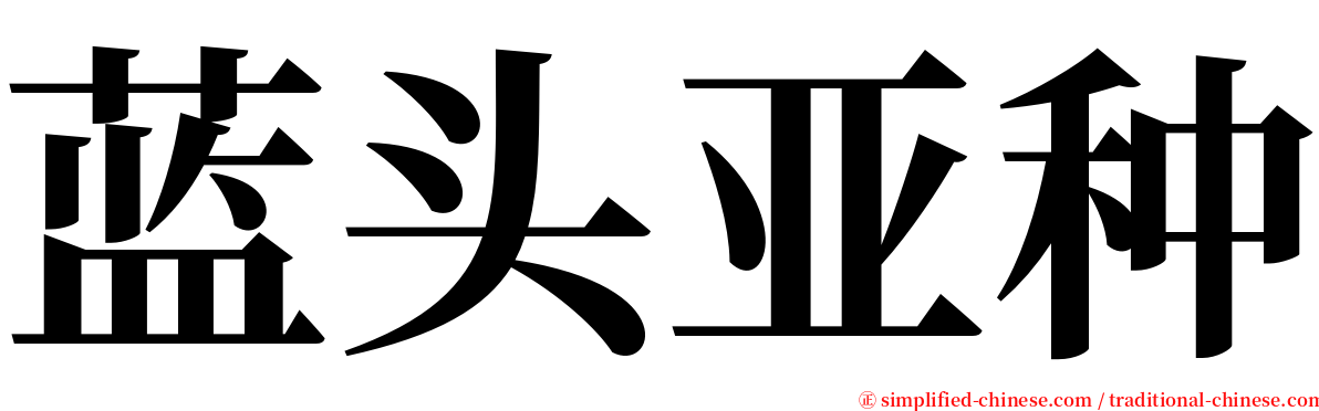 蓝头亚种 serif font