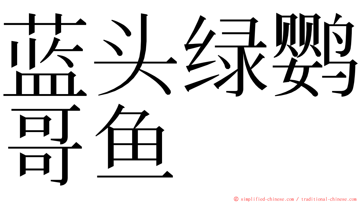 蓝头绿鹦哥鱼 ming font