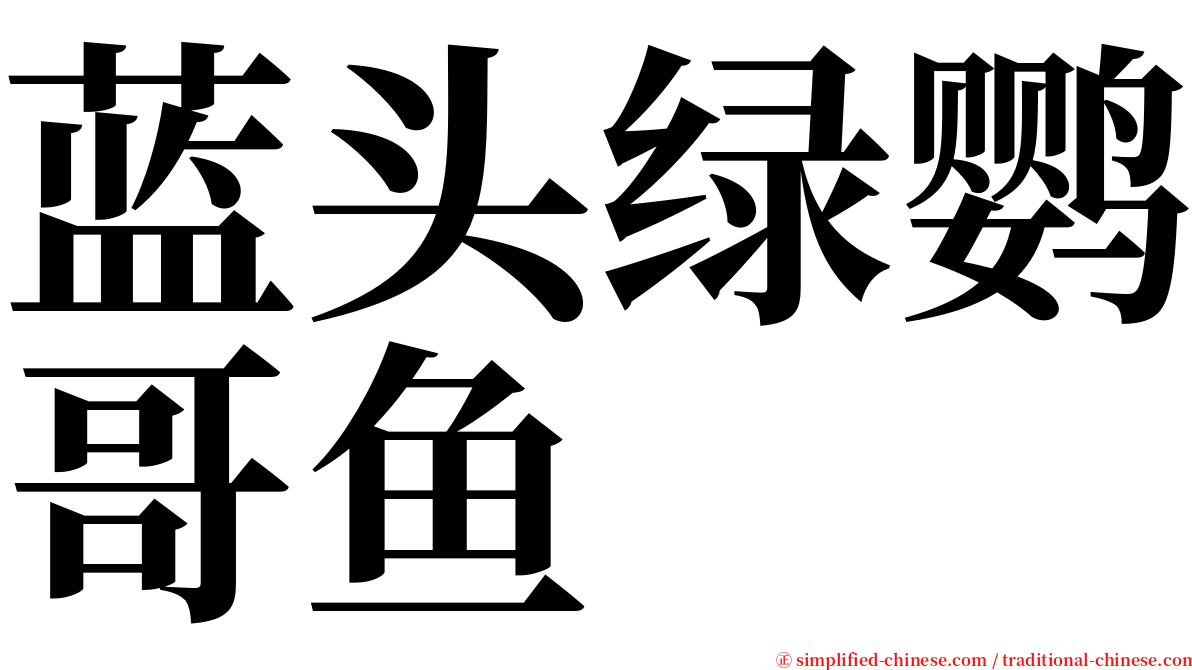 蓝头绿鹦哥鱼 serif font