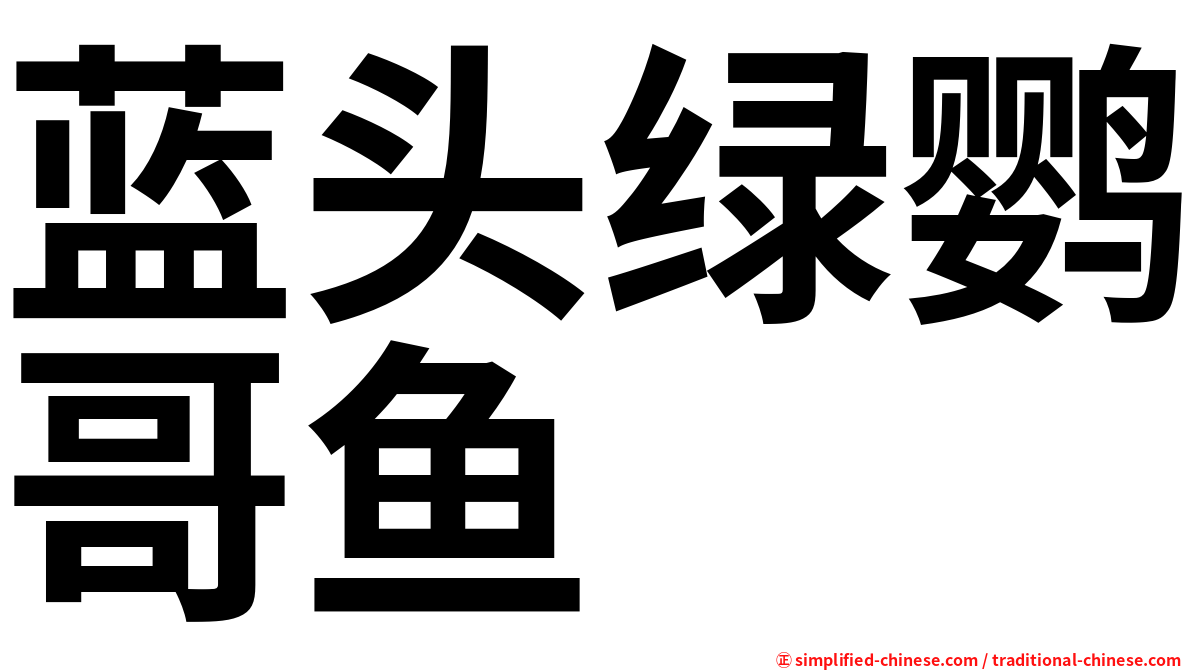 蓝头绿鹦哥鱼