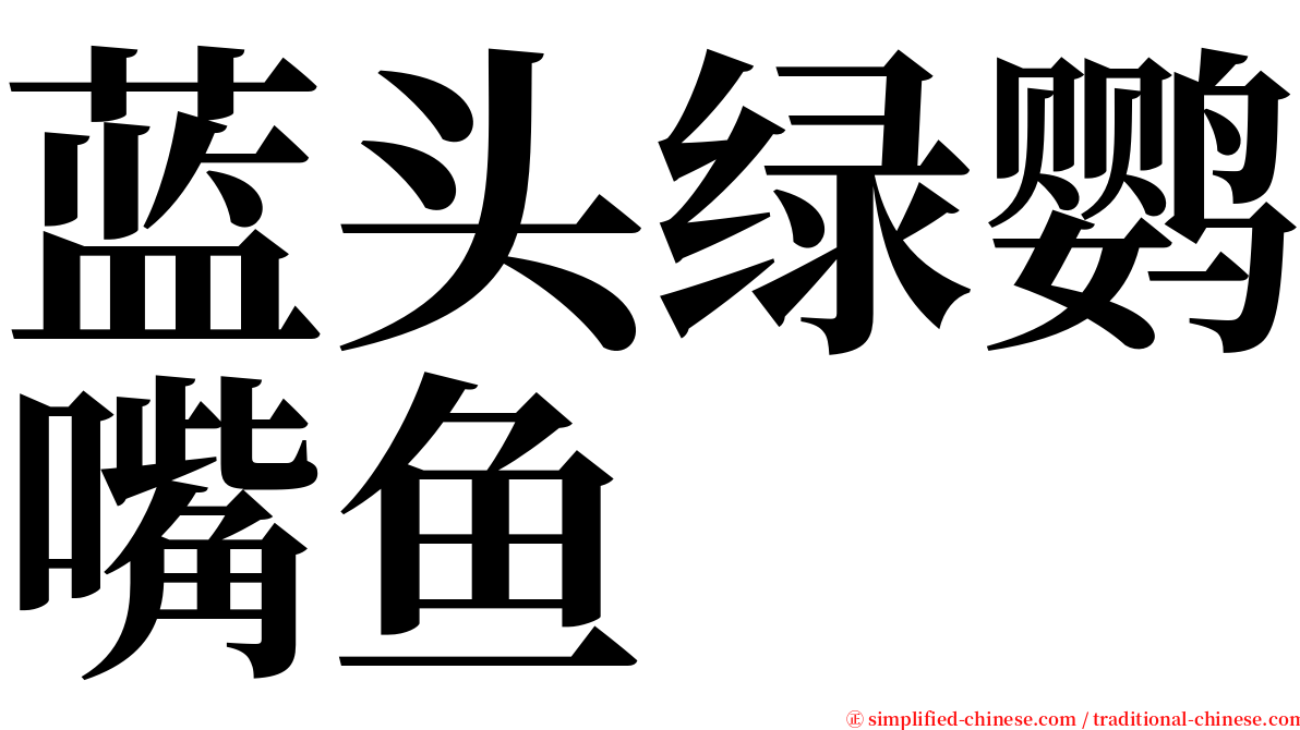 蓝头绿鹦嘴鱼 serif font