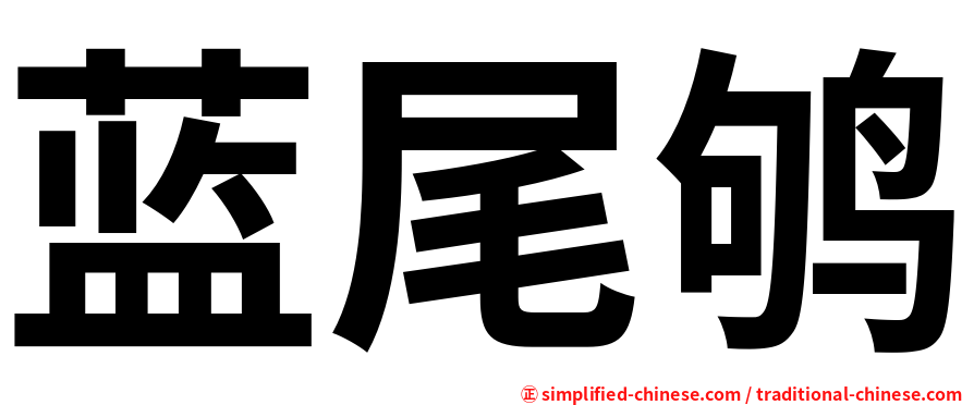 蓝尾鸲