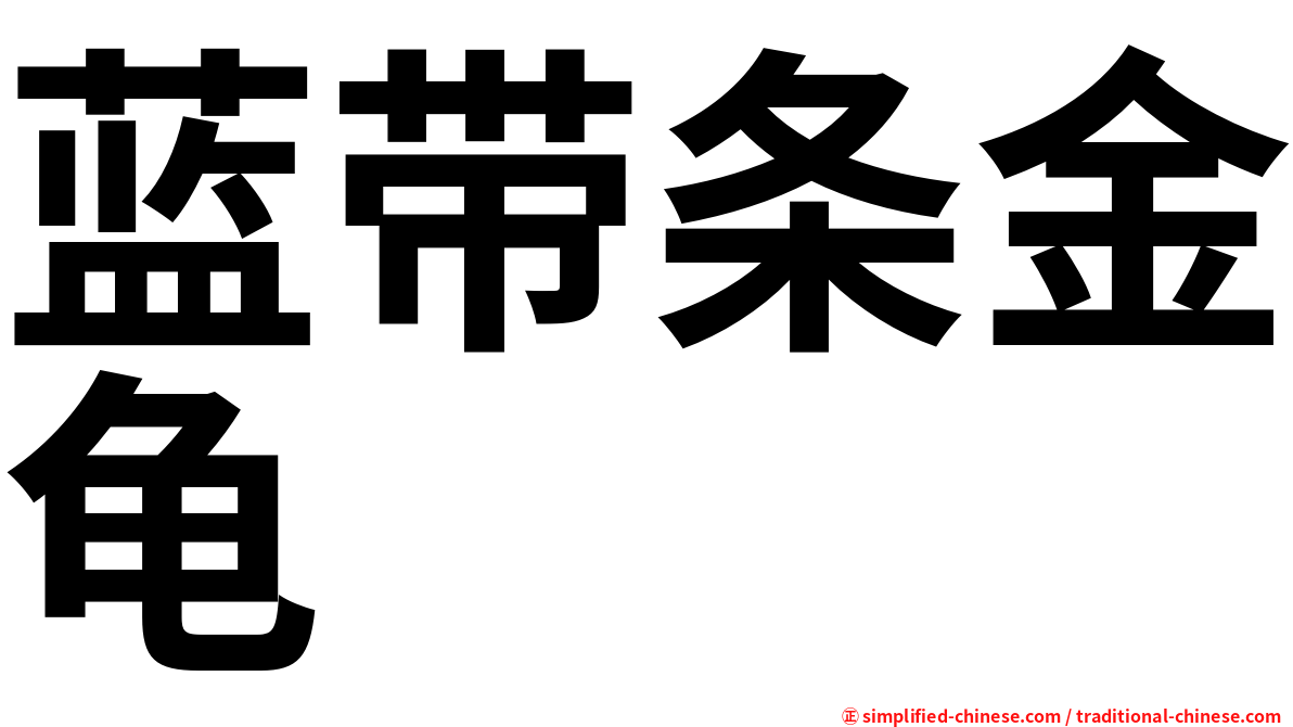 蓝带条金龟