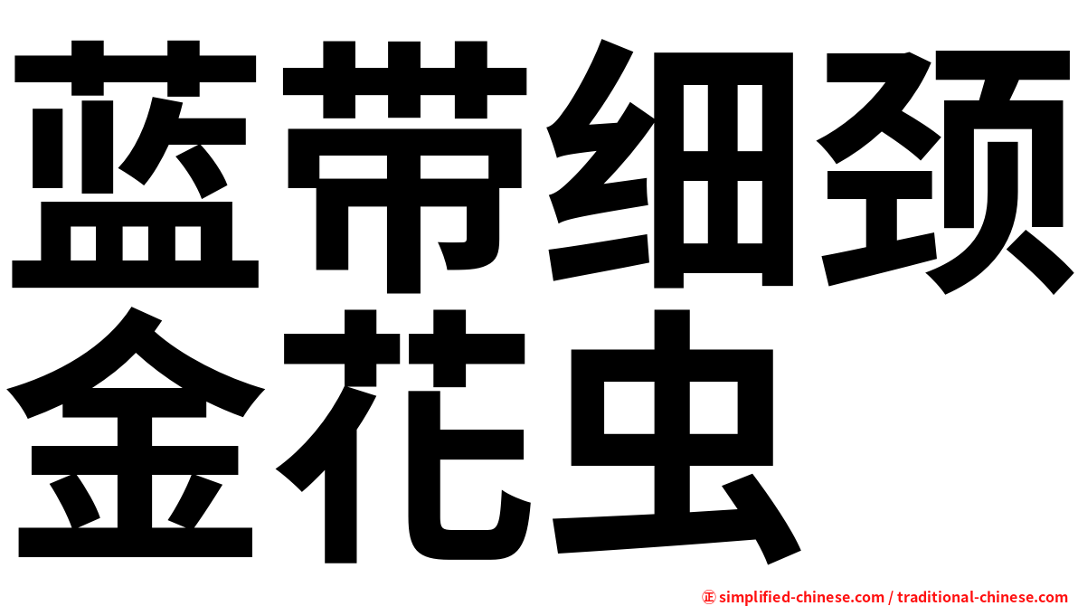 蓝带细颈金花虫