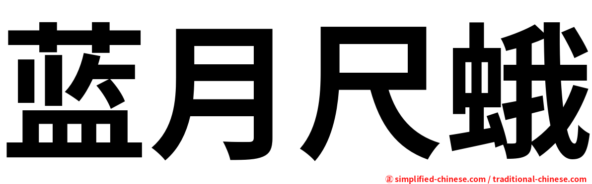 蓝月尺蛾