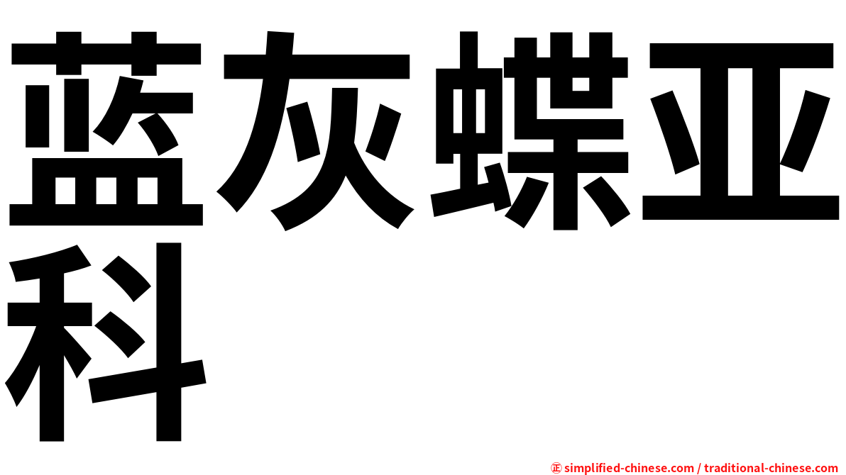 蓝灰蝶亚科