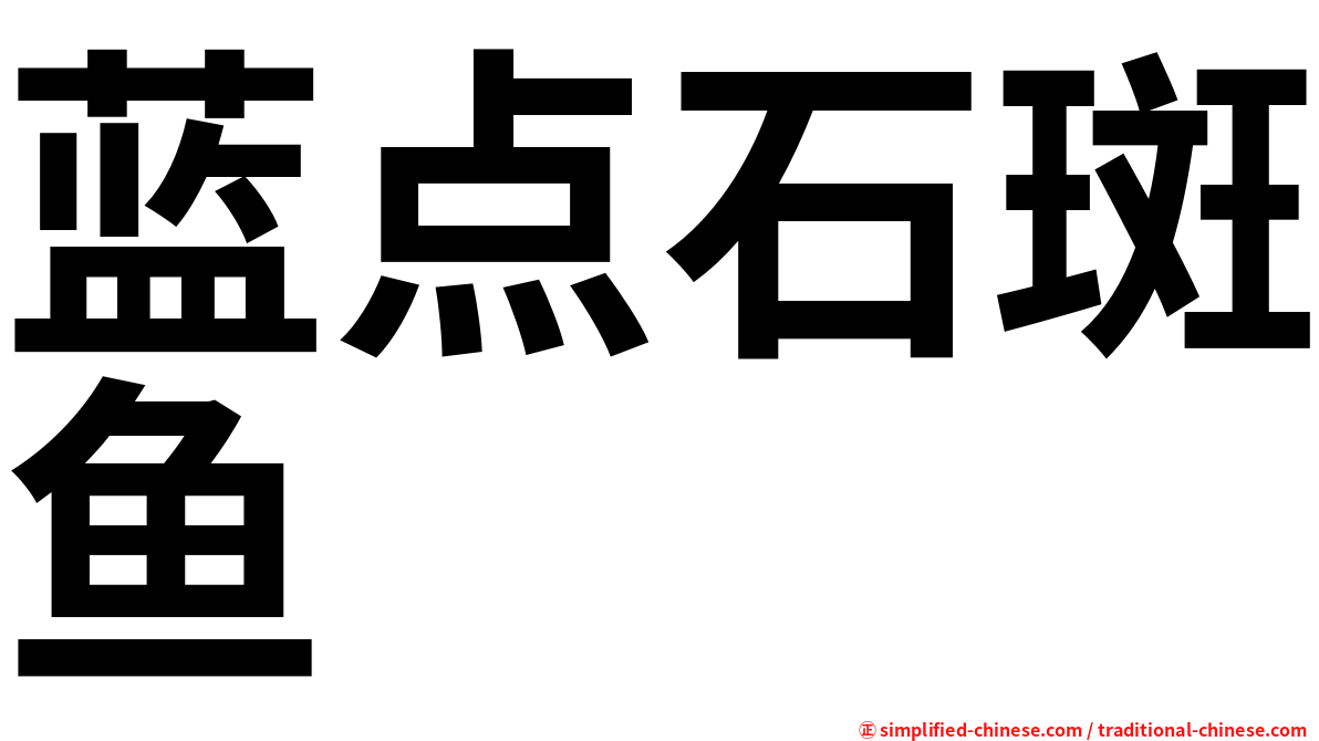 蓝点石斑鱼