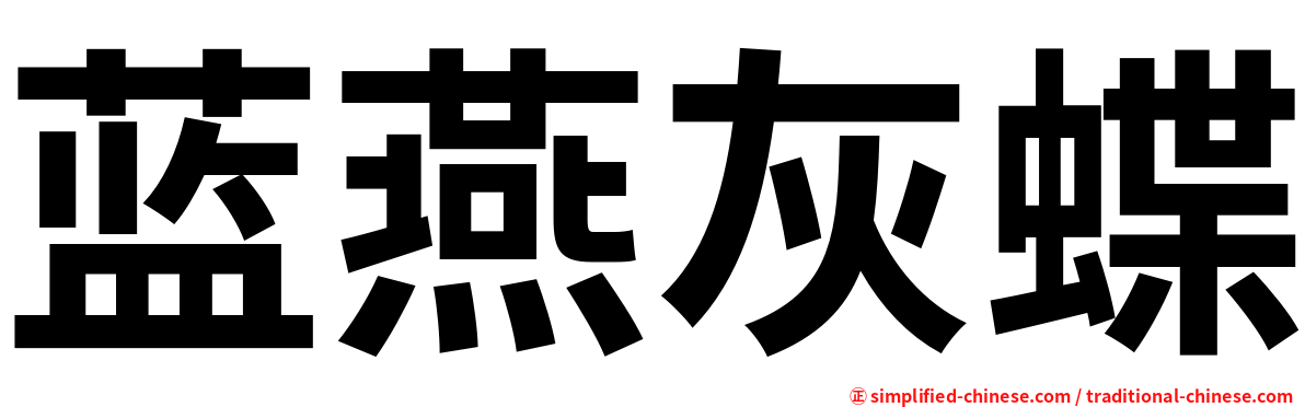 蓝燕灰蝶