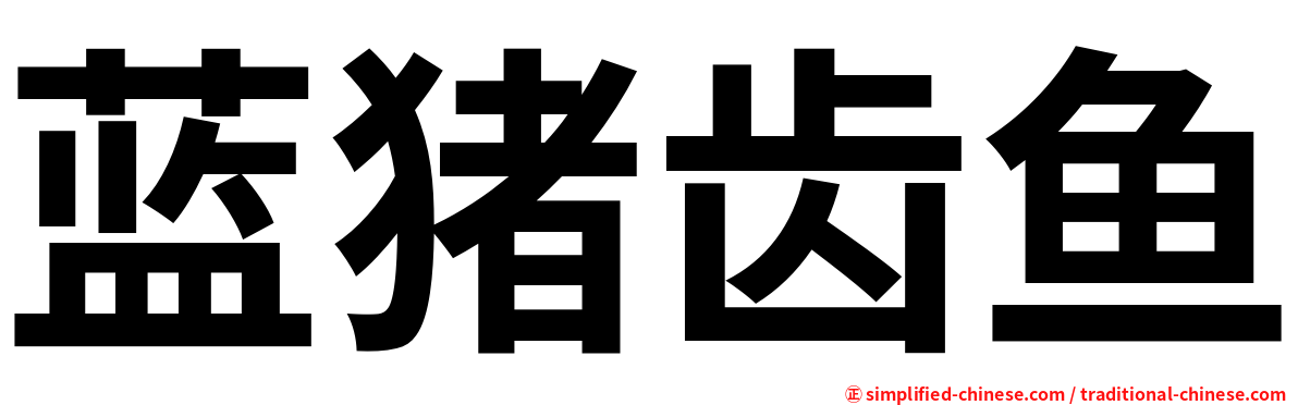 蓝猪齿鱼