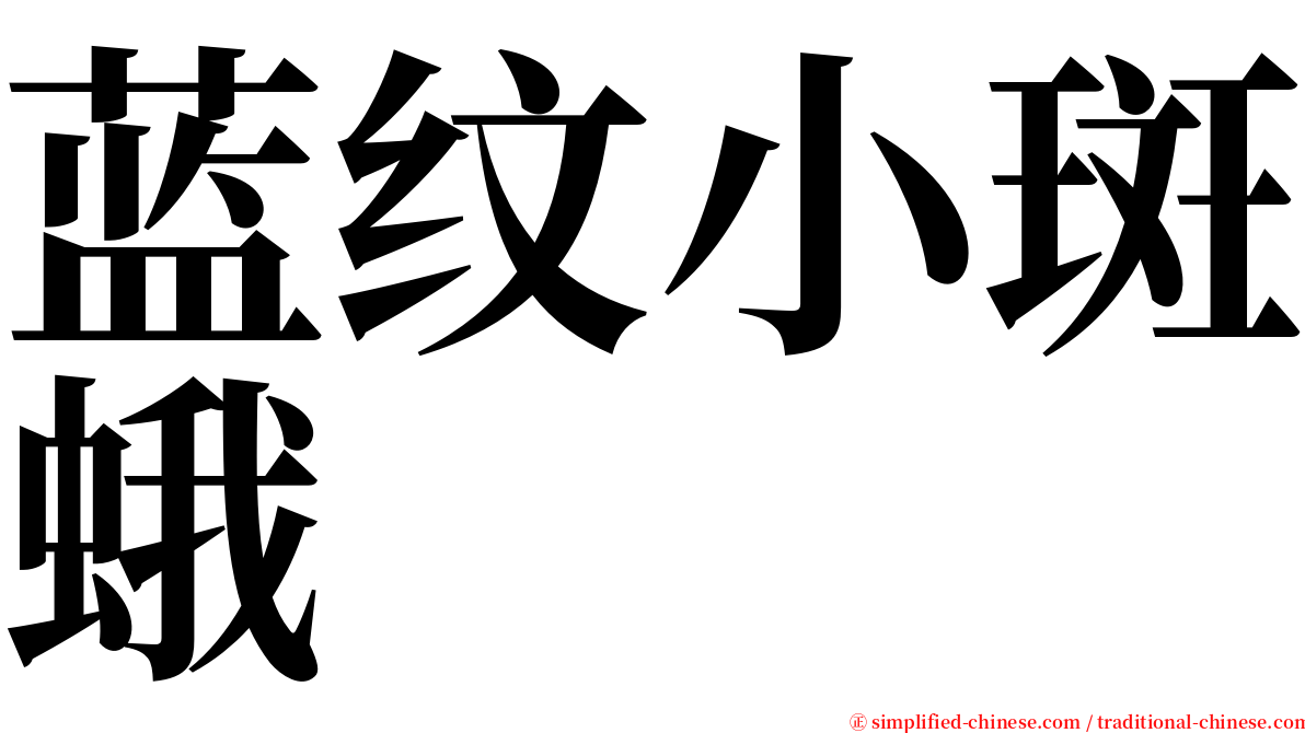 蓝纹小斑蛾 serif font