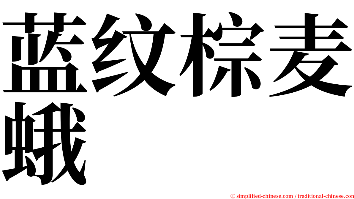蓝纹棕麦蛾 serif font