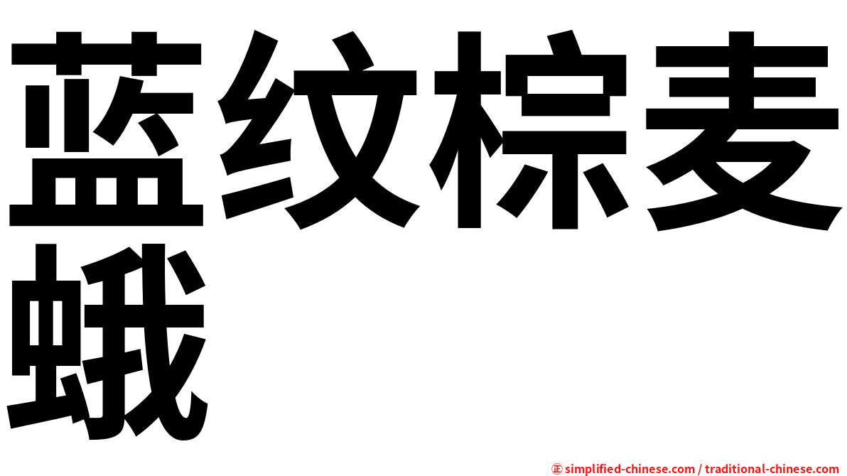 蓝纹棕麦蛾