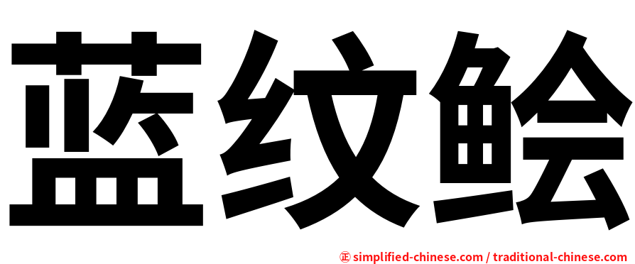 蓝纹鲙