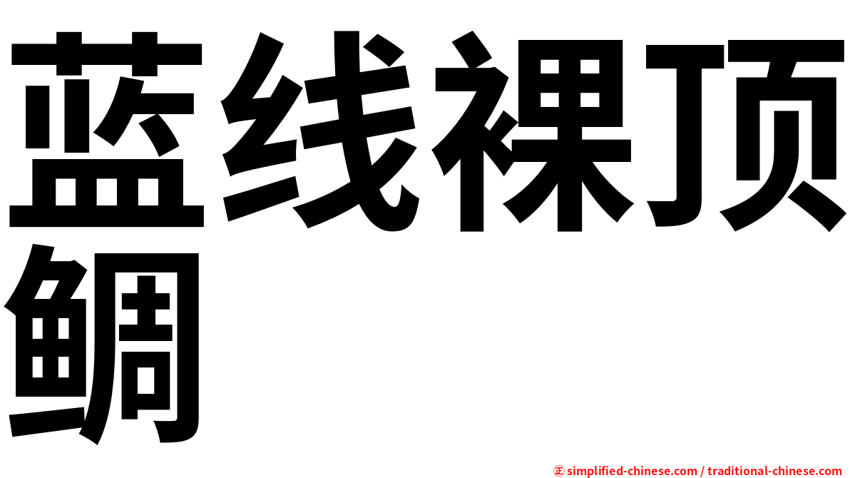 蓝线裸顶鲷