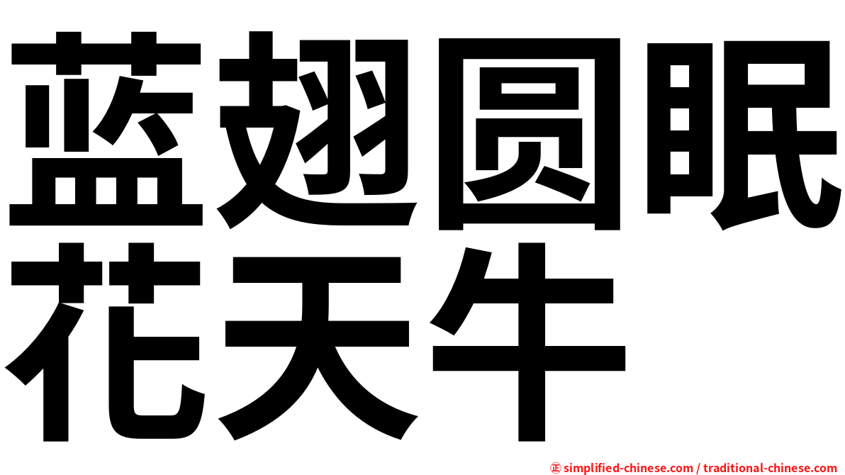 蓝翅圆眠花天牛