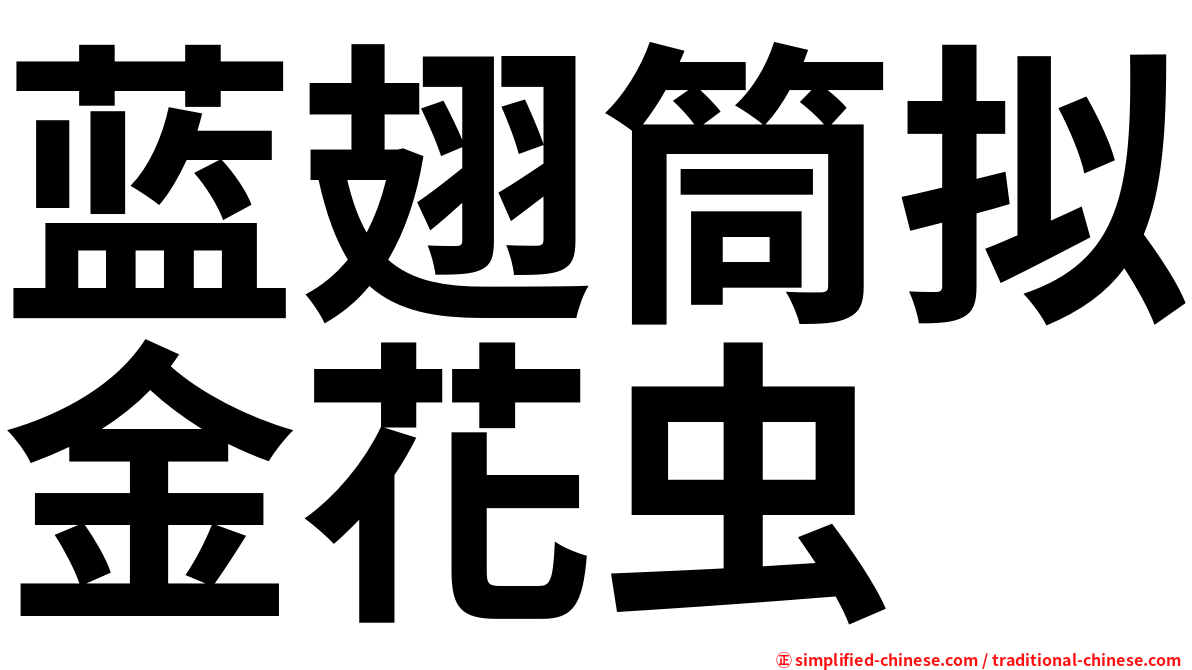 蓝翅筒拟金花虫
