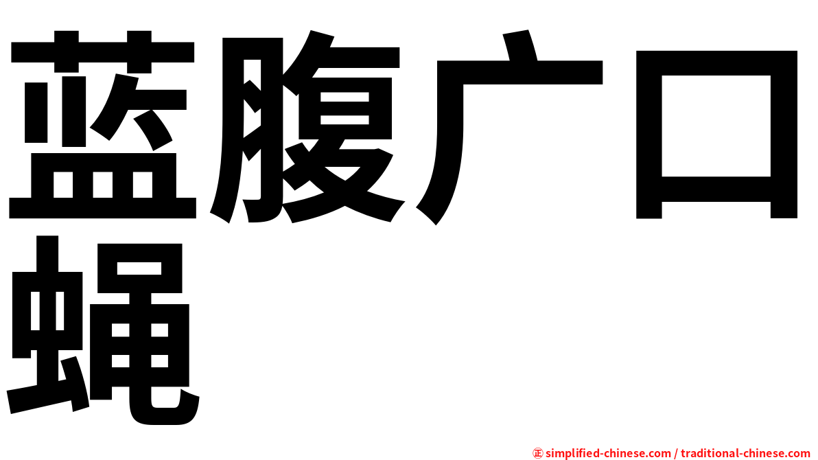 蓝腹广口蝇