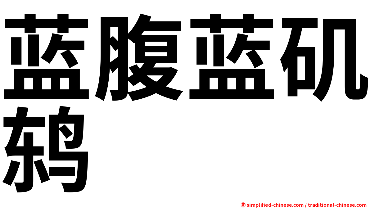 蓝腹蓝矶鸫