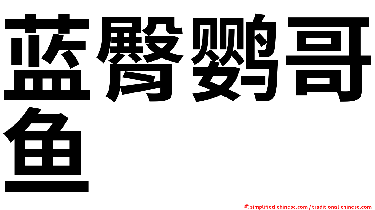 蓝臀鹦哥鱼