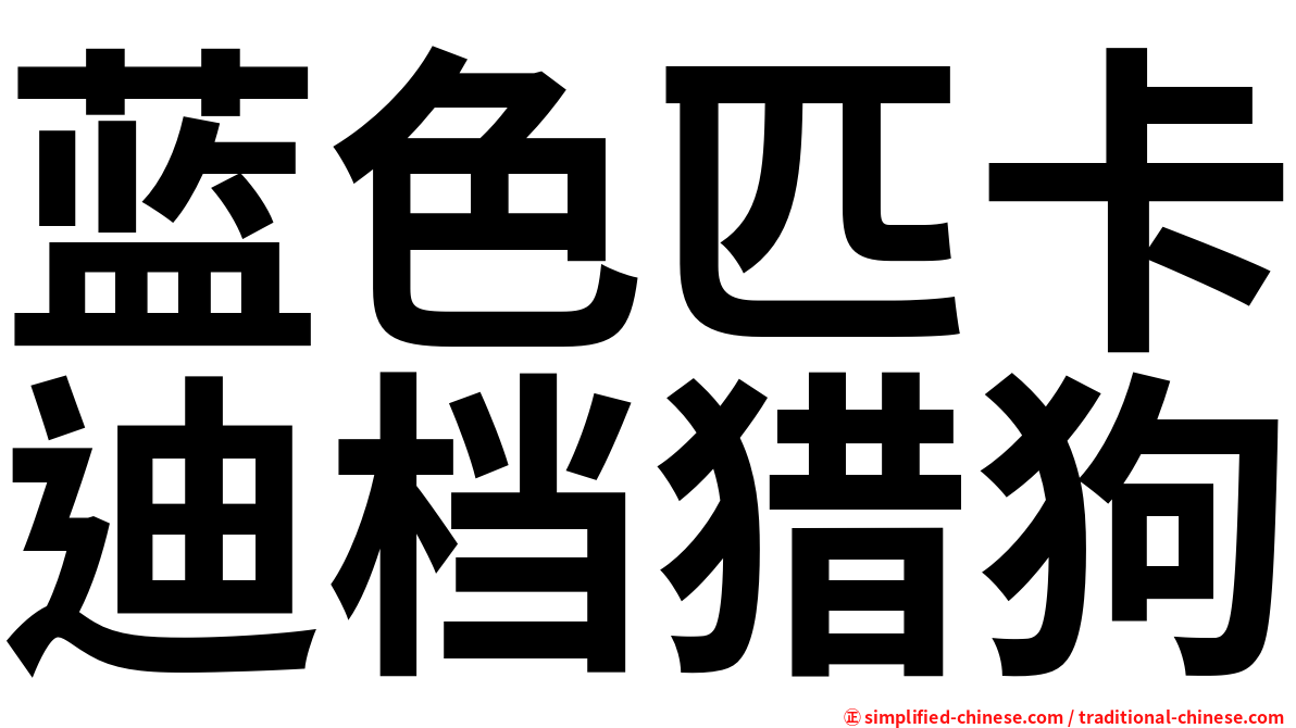 蓝色匹卡迪档猎狗