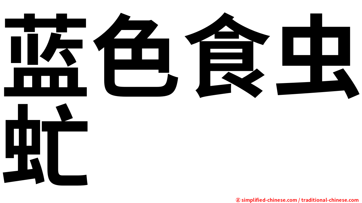 蓝色食虫虻