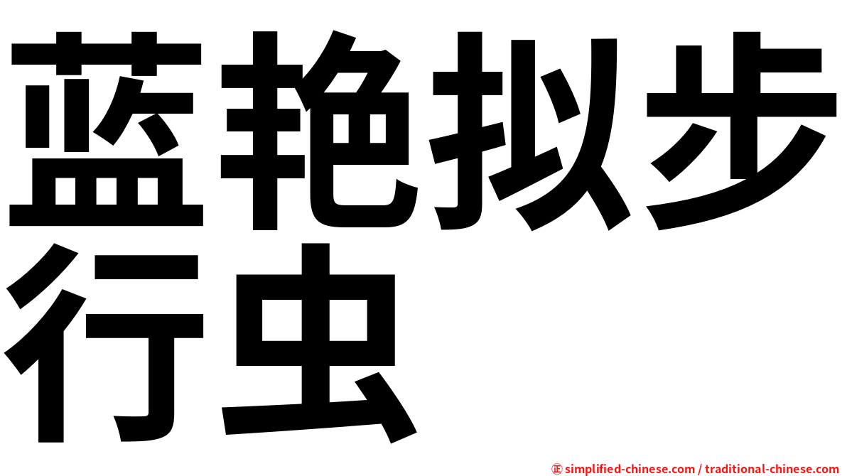 蓝艳拟步行虫