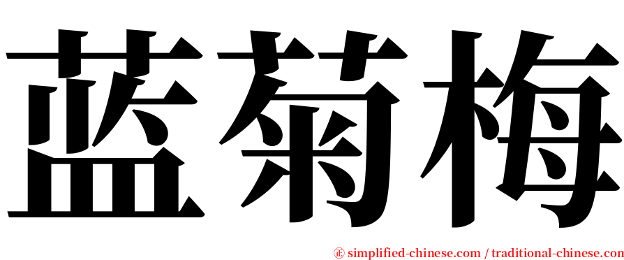 蓝菊梅 serif font