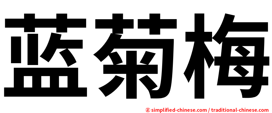 蓝菊梅