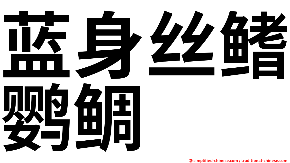 蓝身丝鳍鹦鲷