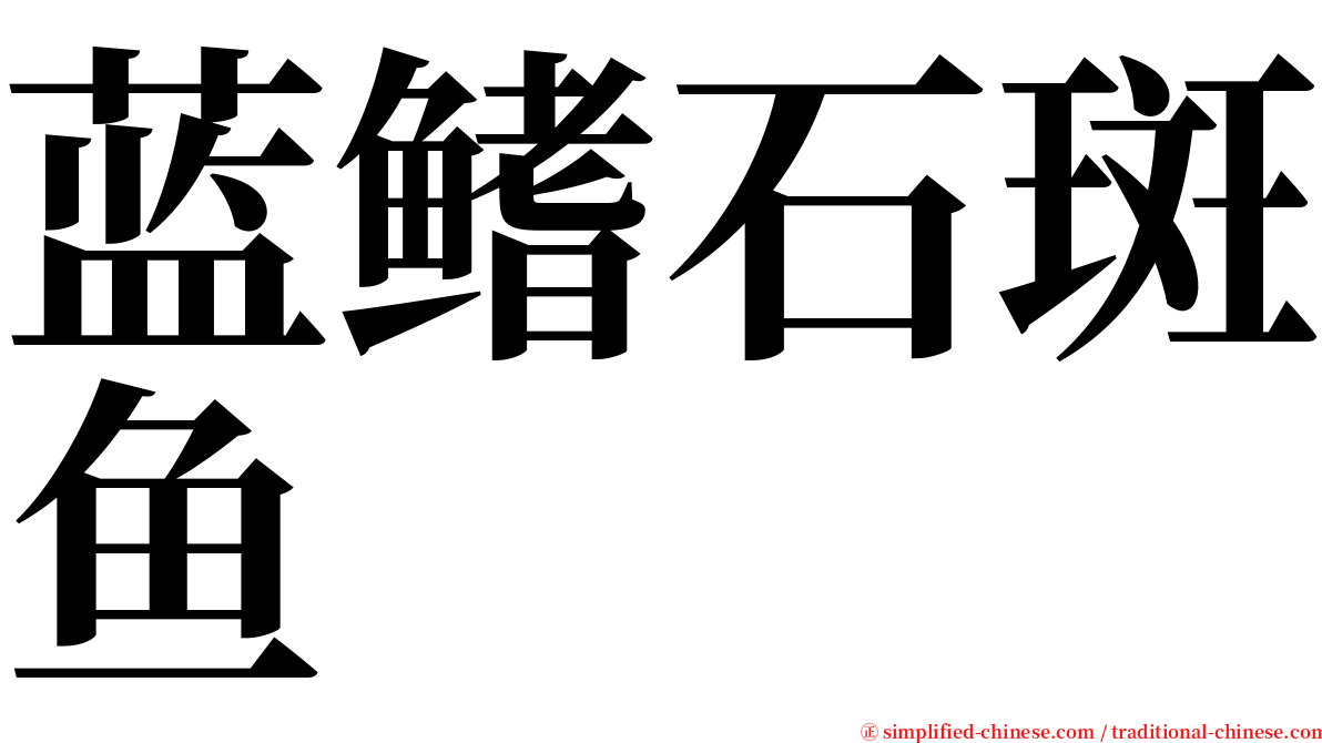 蓝鳍石斑鱼 serif font