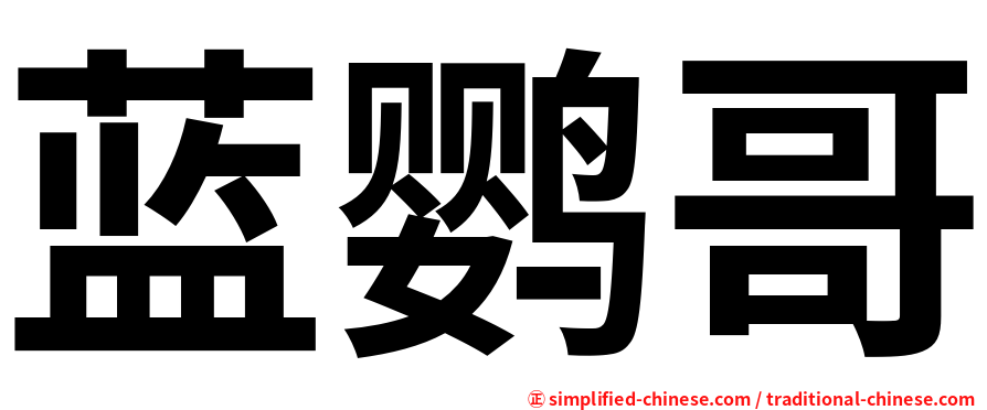蓝鹦哥