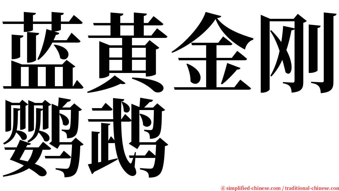 蓝黄金刚鹦鹉 serif font