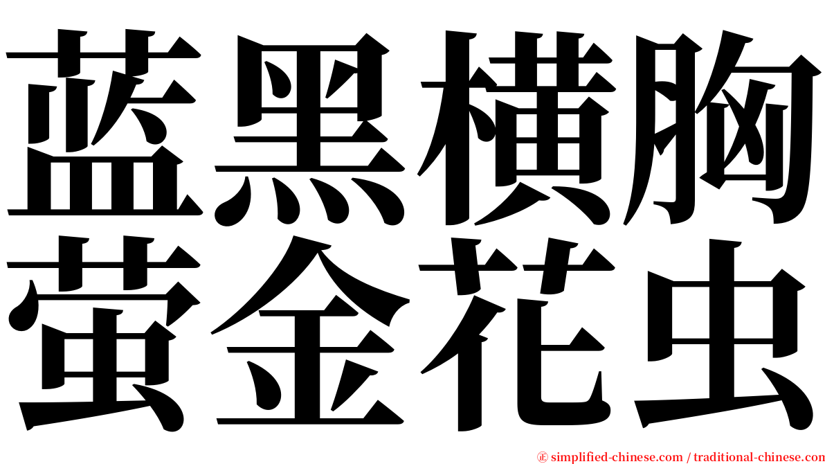 蓝黑横胸萤金花虫 serif font