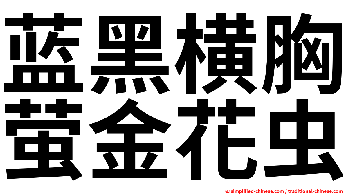蓝黑横胸萤金花虫
