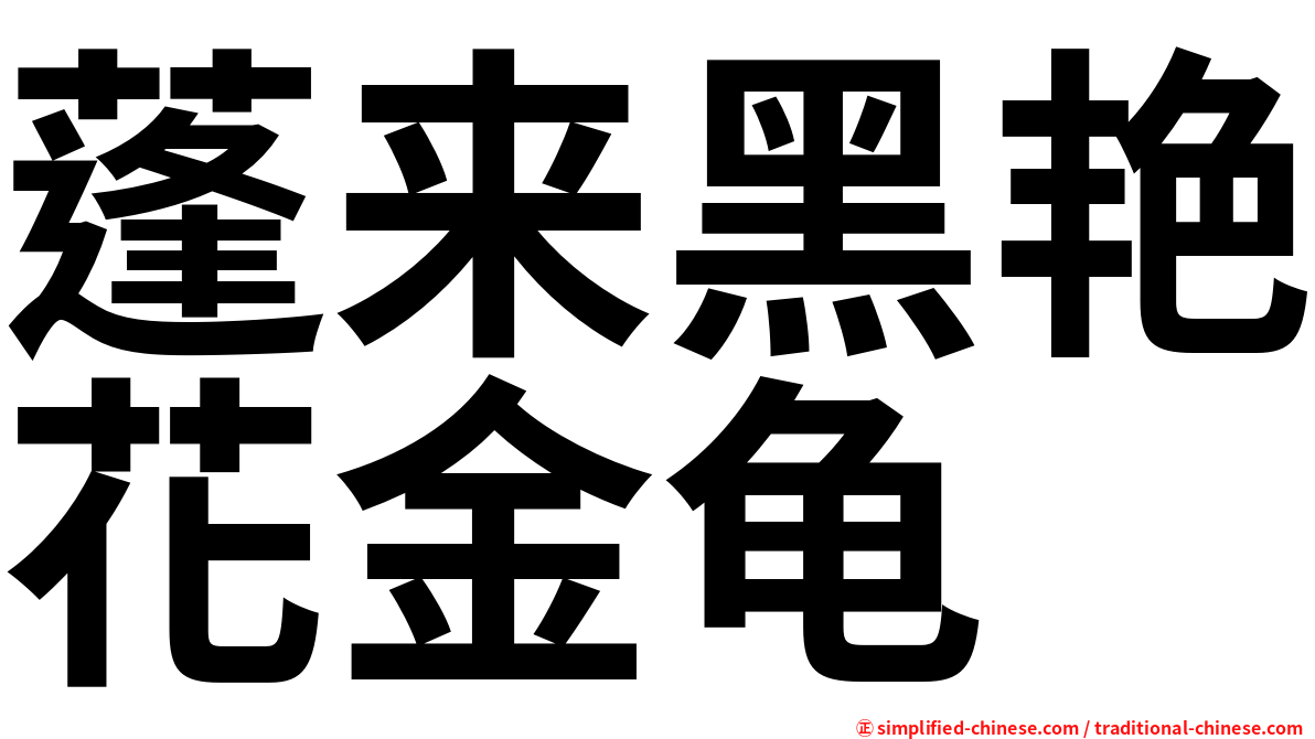 蓬来黑艳花金龟