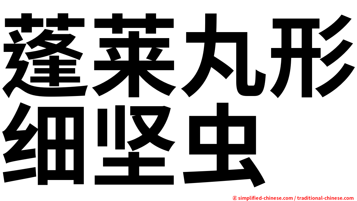 蓬莱丸形细坚虫