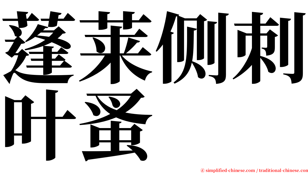 蓬莱侧刺叶蚤 serif font