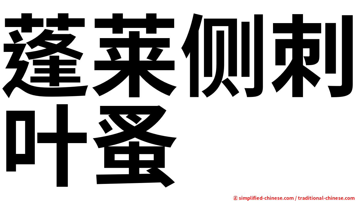 蓬莱侧刺叶蚤