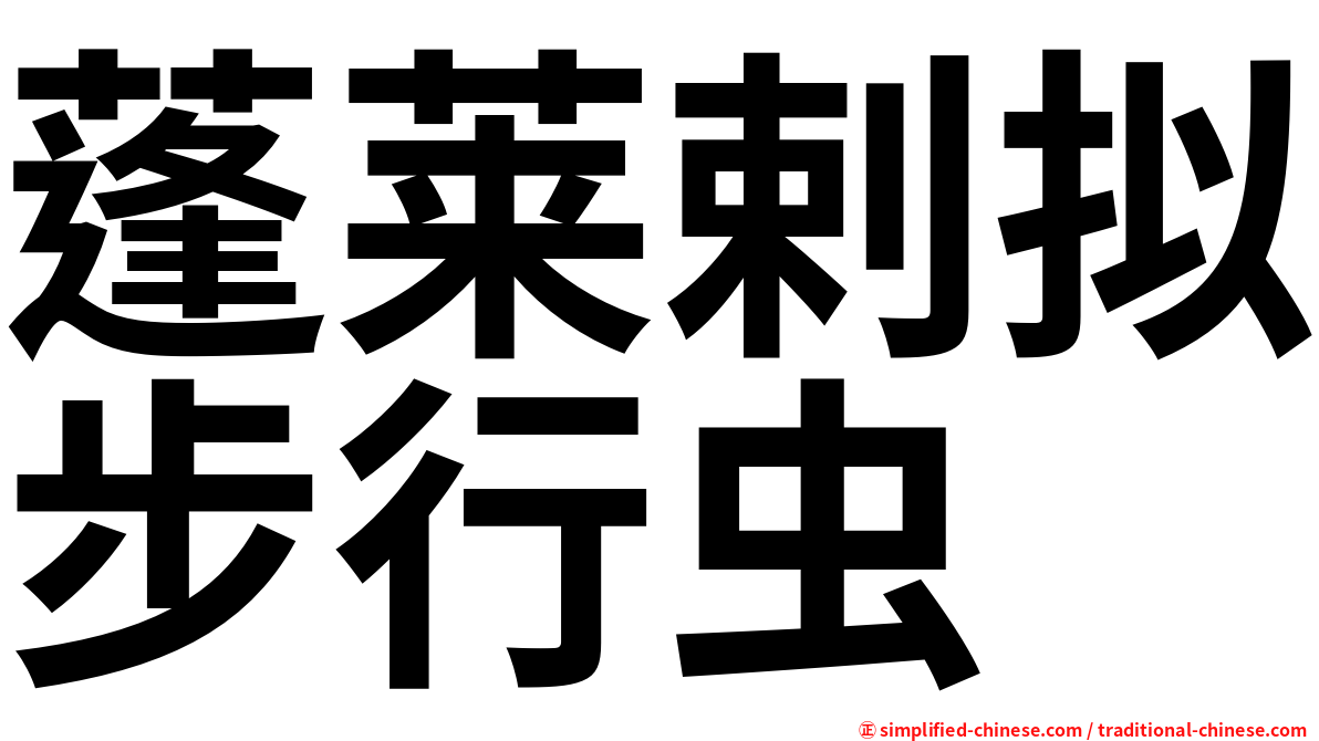 蓬莱剌拟步行虫