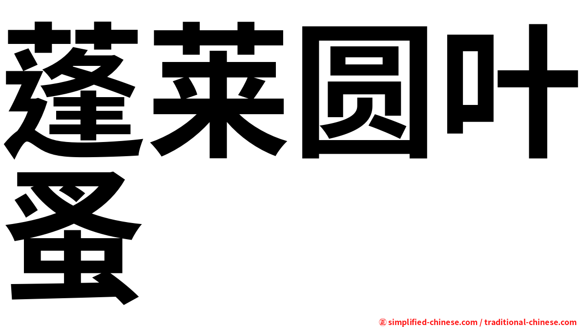 蓬莱圆叶蚤