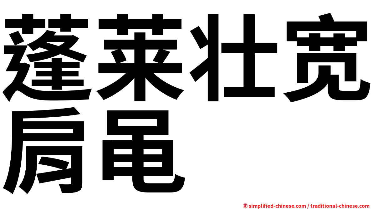 蓬莱壮宽肩黾