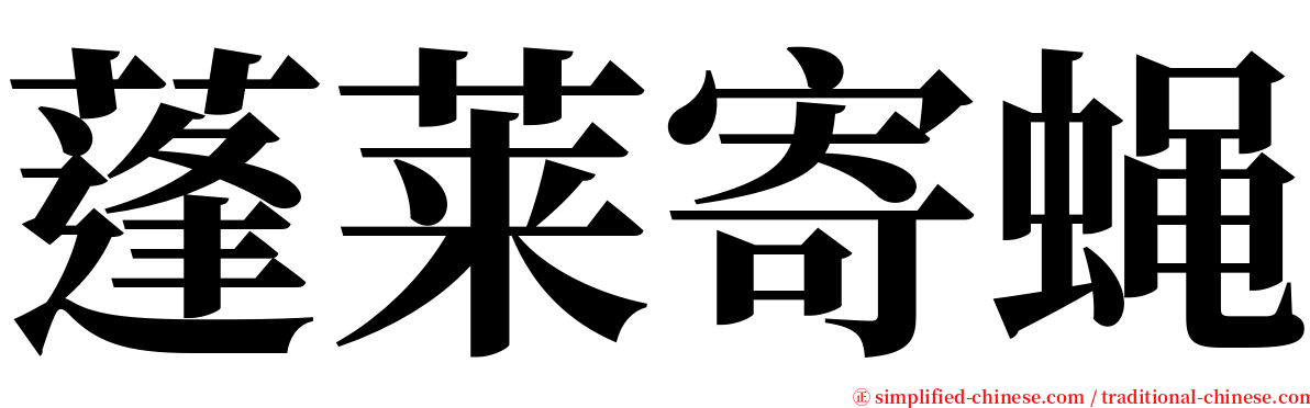 蓬莱寄蝇 serif font
