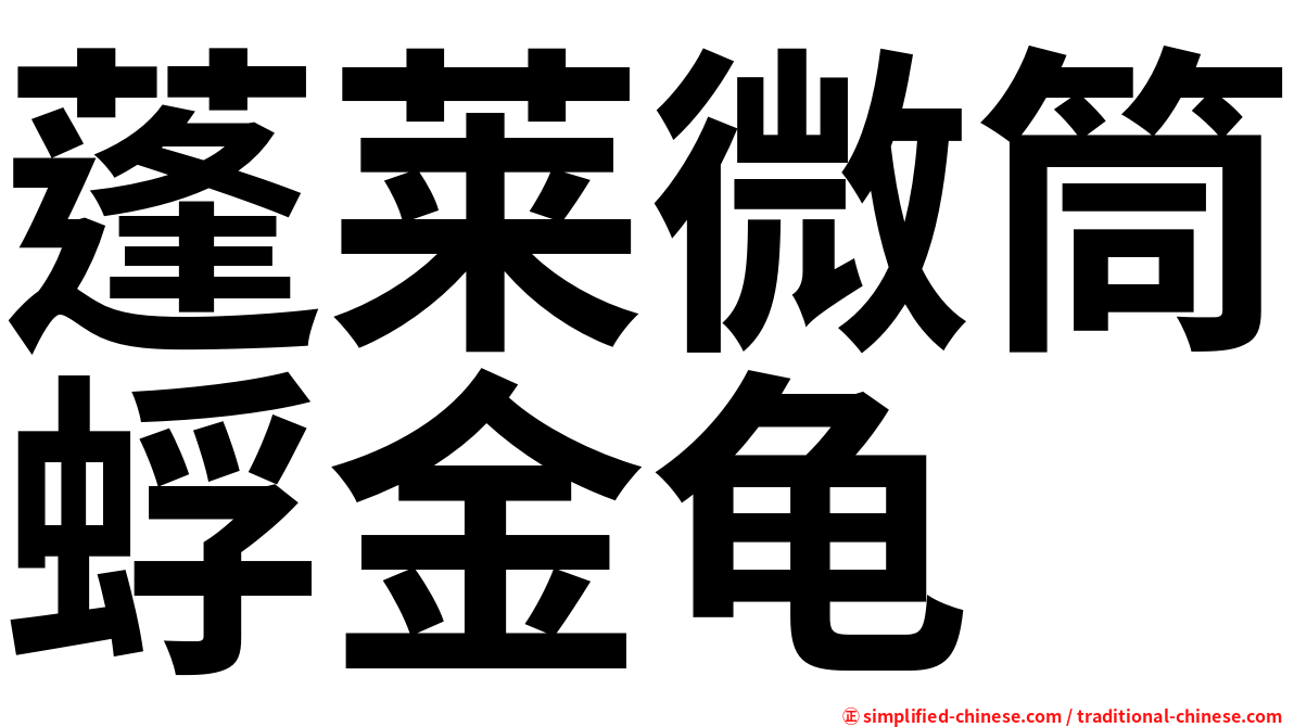 蓬莱微筒蜉金龟