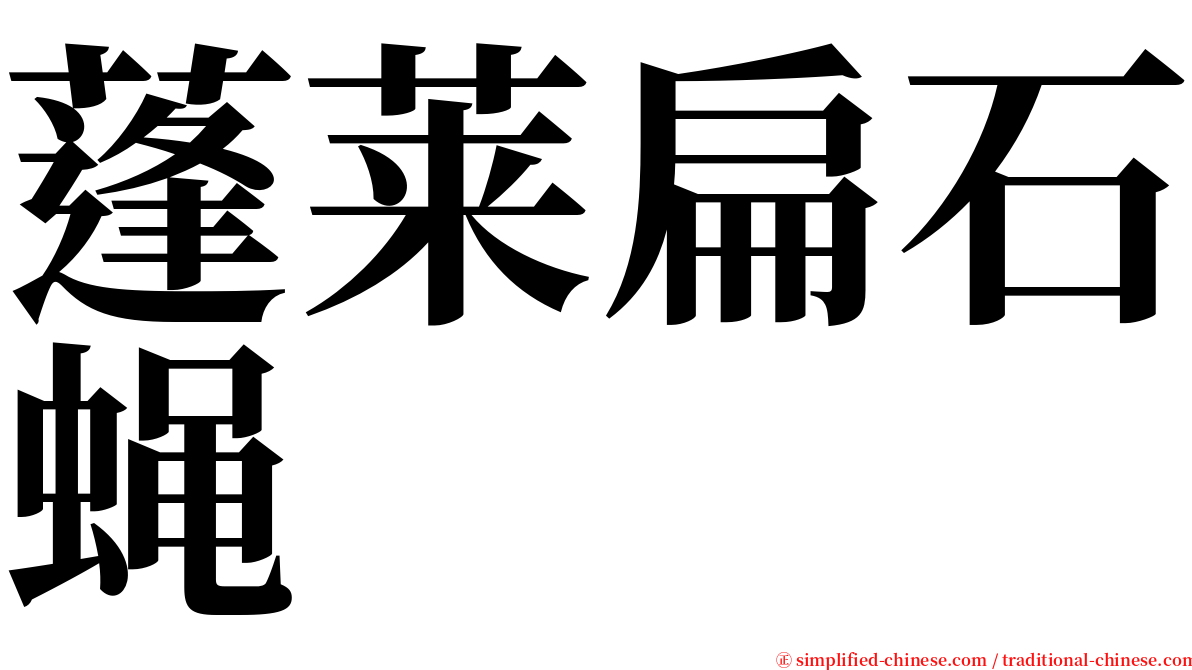 蓬莱扁石蝇 serif font