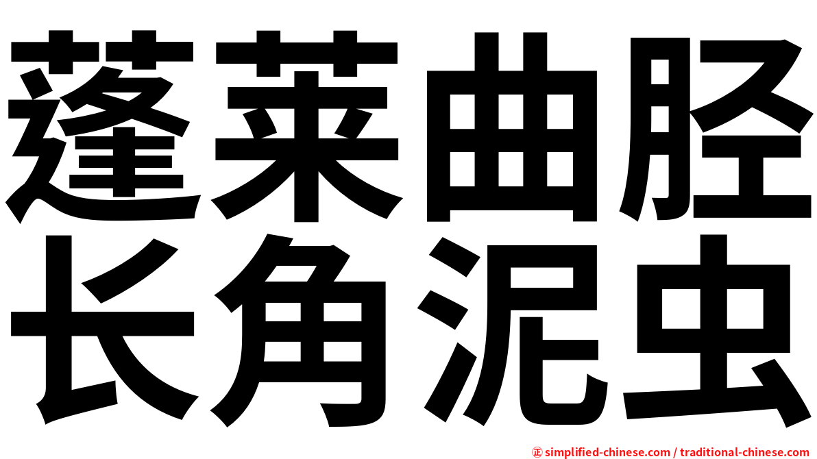 蓬莱曲胫长角泥虫